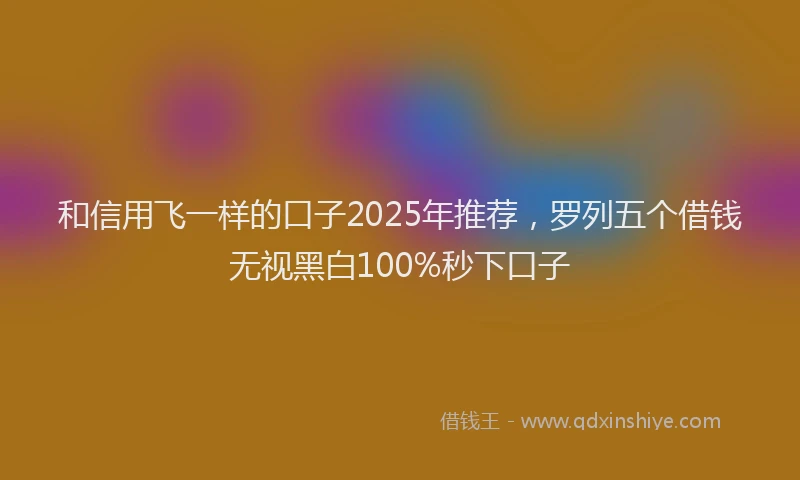 和信用飞一样的口子2025年推荐，罗列五个借钱无视黑白100%秒下口子
