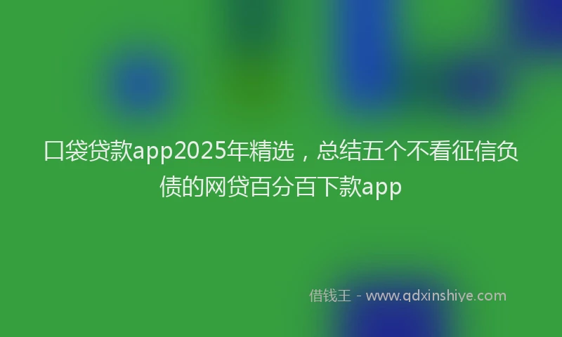 口袋贷款app2025年精选，总结五个不看征信负债的网贷百分百下款app