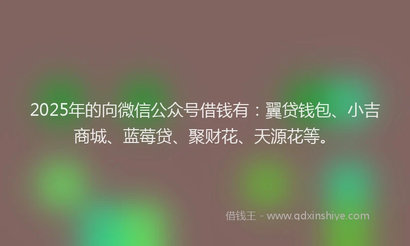 2025年的向微信公众号借钱有：翼贷钱包、小吉商城、蓝莓贷、聚财花、天源花等。