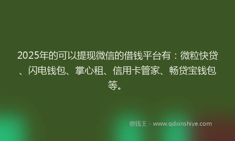 2025年的可以提现微信的借钱平台有：微粒快贷、闪电钱包、掌心租、信用卡管家、畅贷宝钱包等。