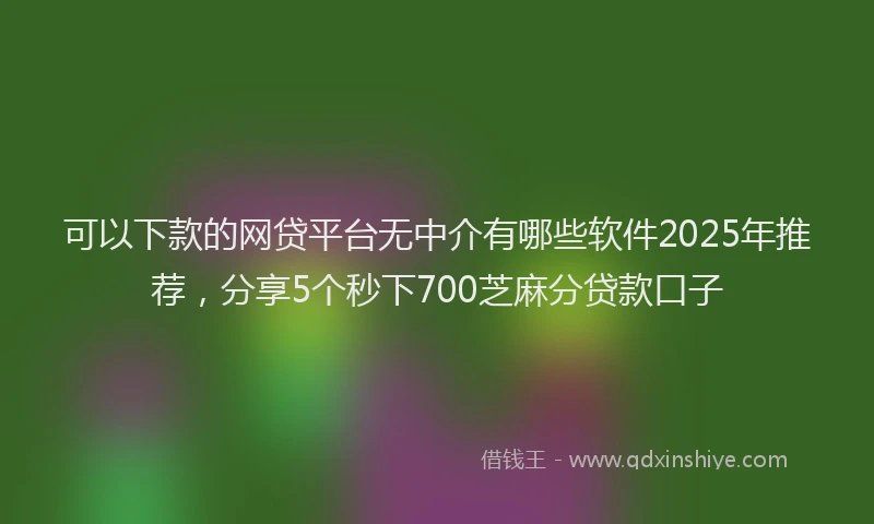 可以下款的网贷平台无中介有哪些软件2025年推荐，分享5个秒下700芝麻分贷款口子