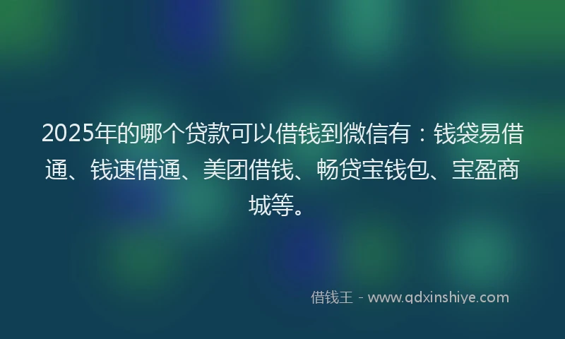2025年的哪个贷款可以借钱到微信有：钱袋易借通、钱速借通、美团借钱、畅贷宝钱包、宝盈商城等。