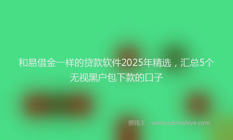 和易借金一样的贷款软件2025年精选，汇总5个无视黑户包下款的口子