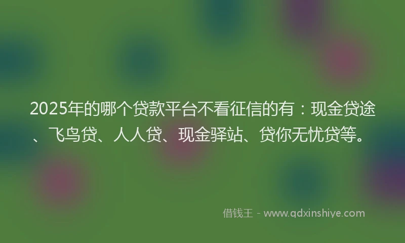 2025年的哪个贷款平台不看征信的有：现金贷途、飞鸟贷、人人贷、现金驿站、贷你无忧贷等。