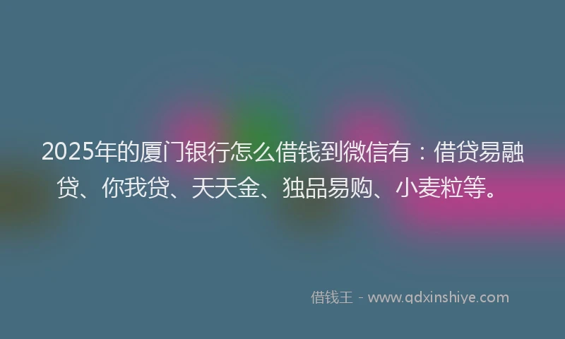 2025年的厦门银行怎么借钱到微信有：借贷易融贷、你我贷、天天金、独品易购、小麦粒等。