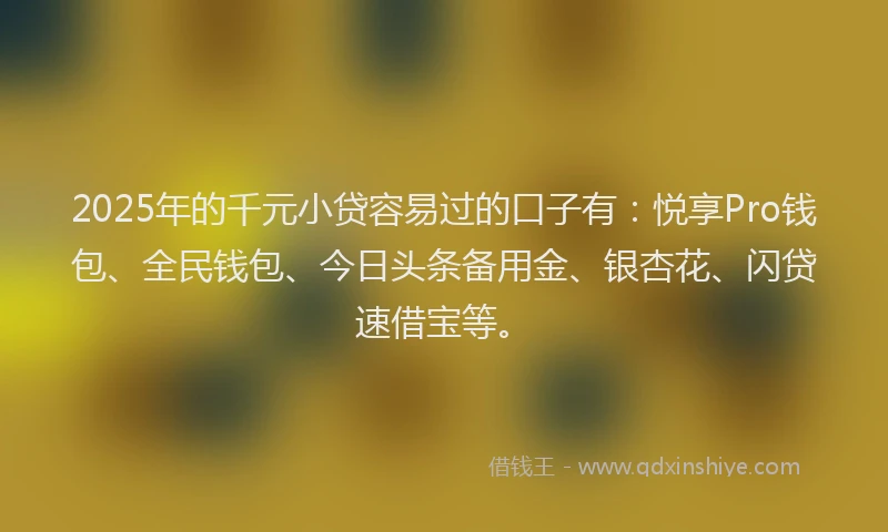 2025年的千元小贷容易过的口子有：悦享Pro钱包、全民钱包、今日头条备用金、银杏花、闪贷速借宝等。