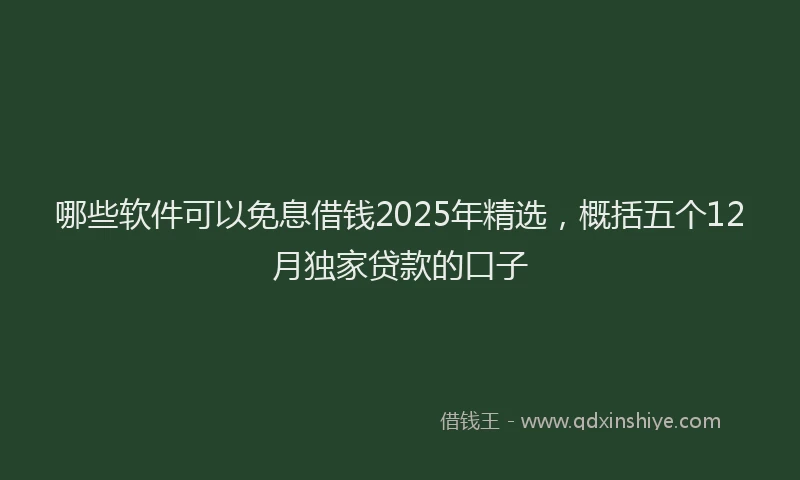 哪些软件可以免息借钱2025年精选，概括五个12月独家贷款的口子