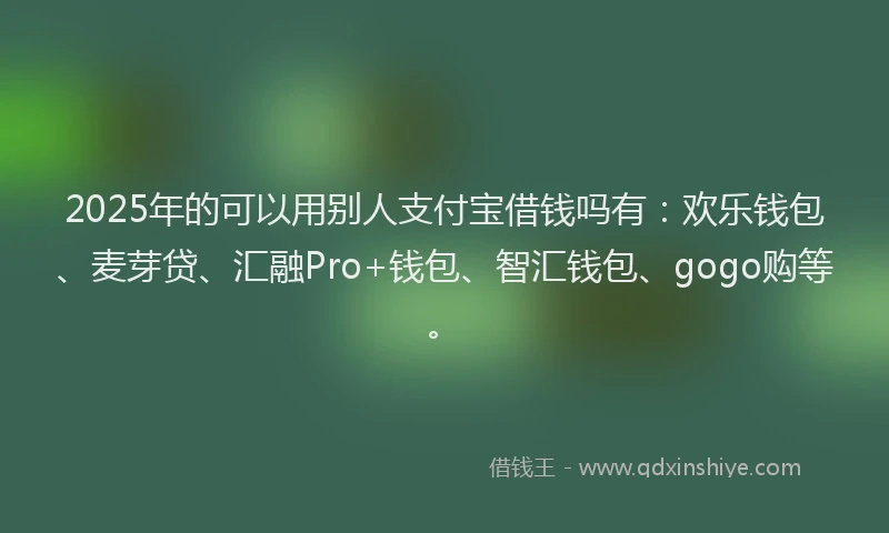 2025年的可以用别人支付宝借钱吗有：欢乐钱包、麦芽贷、汇融Pro+钱包、智汇钱包、gogo购等。