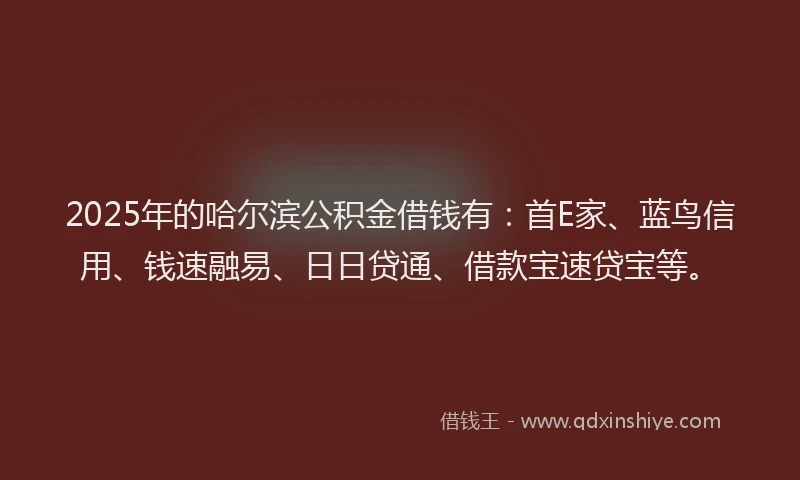 2025年的哈尔滨公积金借钱有：首E家、蓝鸟信用、钱速融易、日日贷通、借款宝速贷宝等。