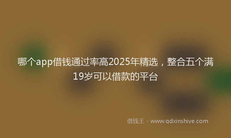 哪个app借钱通过率高2025年精选，整合五个满19岁可以借款的平台
