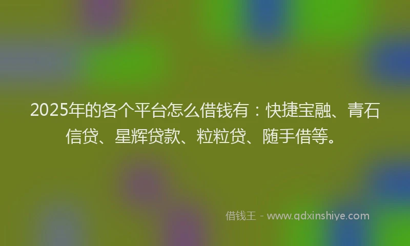 2025年的各个平台怎么借钱有：快捷宝融、青石信贷、星辉贷款、粒粒贷、随手借等。