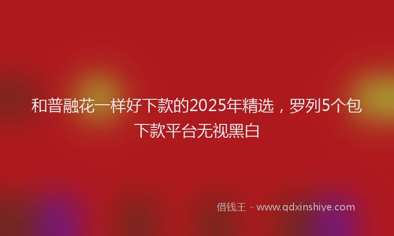 和普融花一样好下款的2025年精选，罗列5个包下款平台无视黑白