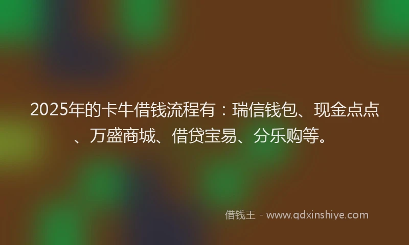 2025年的卡牛借钱流程有：瑞信钱包、现金点点、万盛商城、借贷宝易、分乐购等。