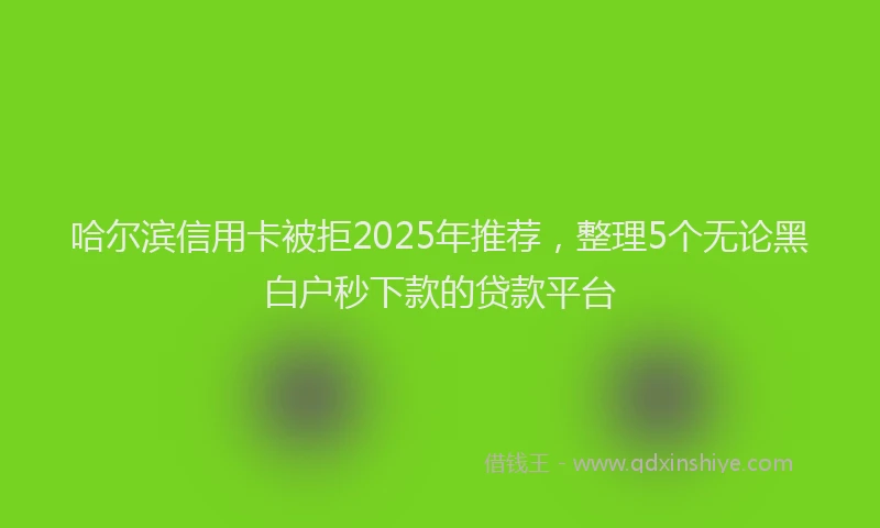 哈尔滨信用卡被拒2025年推荐，整理5个无论黑白户秒下款的贷款平台