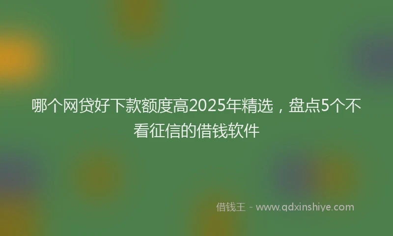 哪个网贷好下款额度高2025年精选，盘点5个不看征信的借钱软件