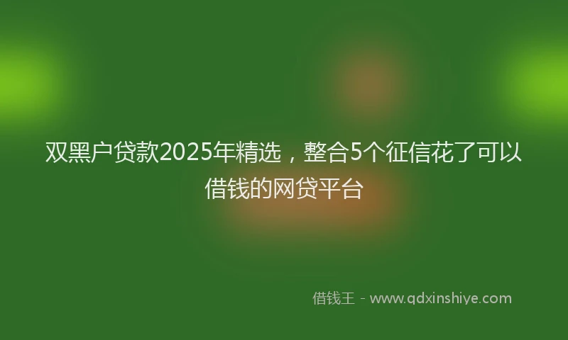 双黑户贷款2025年精选，整合5个征信花了可以借钱的网贷平台