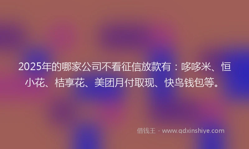 2025年的哪家公司不看征信放款有：哆哆米、恒小花、桔享花、美团月付取现、快鸟钱包等。