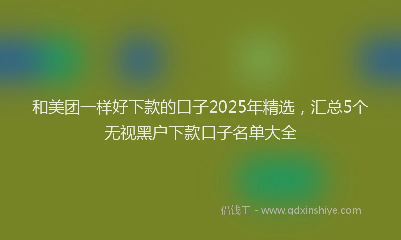和美团一样好下款的口子2025年精选，汇总5个无视黑户下款口子名单大全