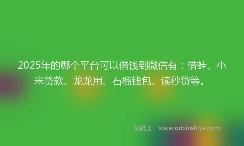 2025年的哪个平台可以借钱到微信有：借蛙、小米贷款、龙龙用、石榴钱包、读秒贷等。