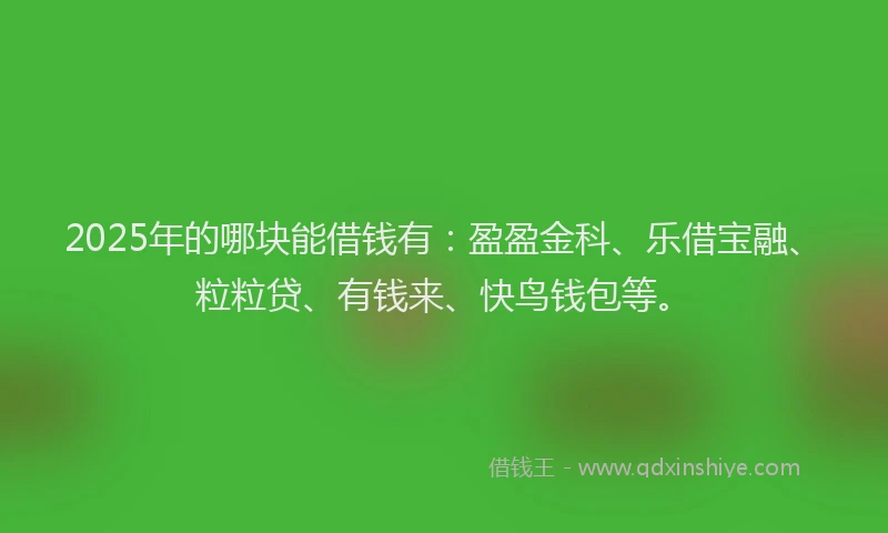 2025年的哪块能借钱有：盈盈金科、乐借宝融、粒粒贷、有钱来、快鸟钱包等。