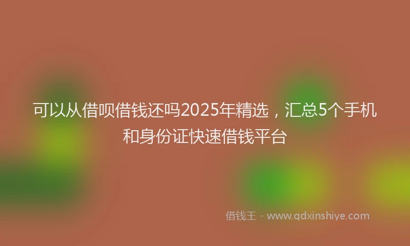 可以从借呗借钱还吗2025年精选，汇总5个手机和身份证快速借钱平台