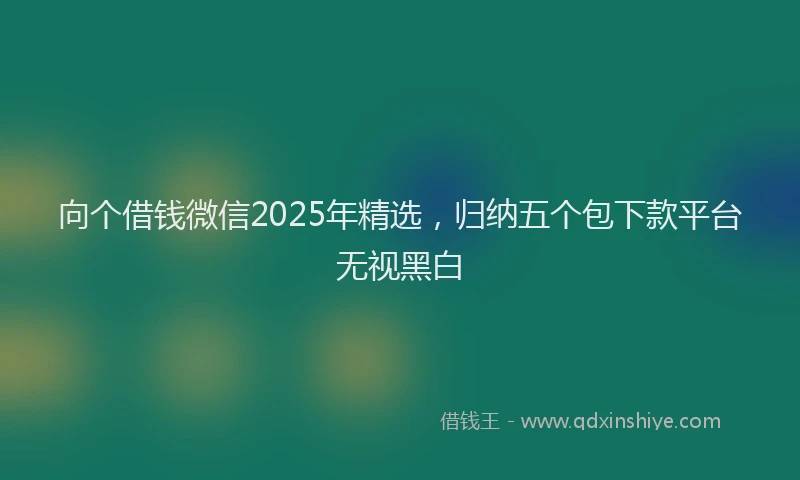 向个借钱微信2025年精选，归纳五个包下款平台无视黑白