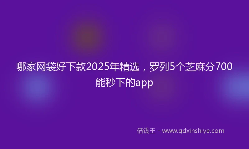 哪家网袋好下款2025年精选，罗列5个芝麻分700能秒下的app