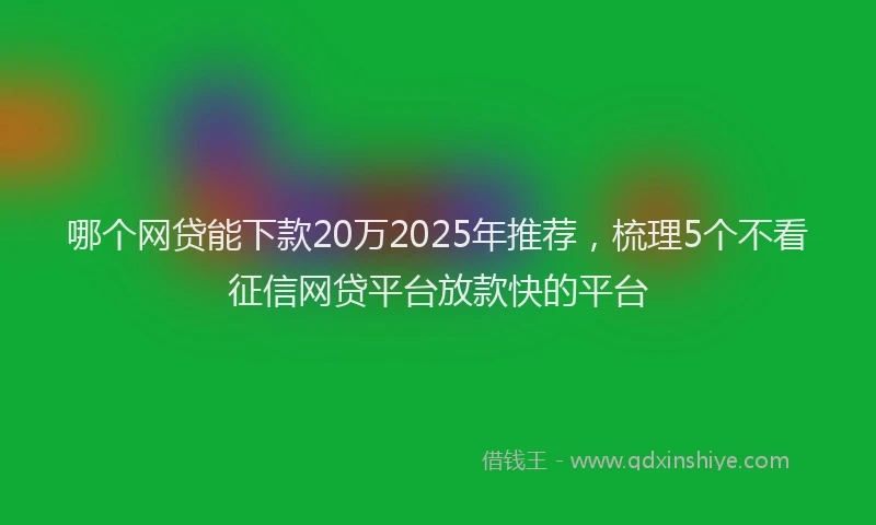 哪个网贷能下款20万2025年推荐，梳理5个不看征信网贷平台放款快的平台