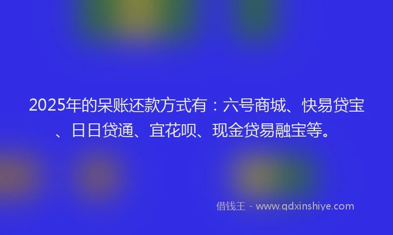 2025年的呆账还款方式有：六号商城、快易贷宝、日日贷通、宜花呗、现金贷易融宝等。