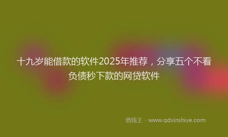 十九岁能借款的软件2025年推荐，分享五个不看负债秒下款的网贷软件