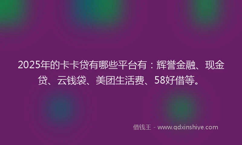 2025年的卡卡贷有哪些平台有：辉誉金融、现金贷、云钱袋、美团生活费、58好借等。