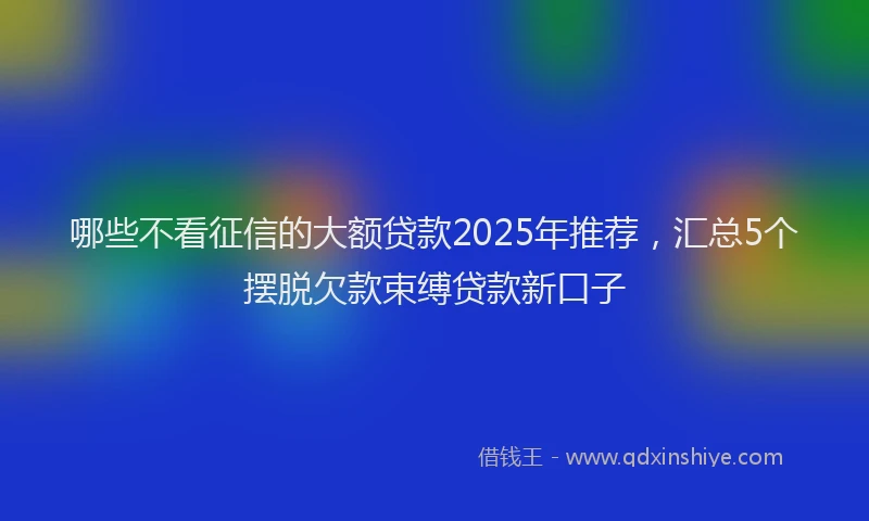 哪些不看征信的大额贷款2025年推荐，汇总5个摆脱欠款束缚贷款新口子