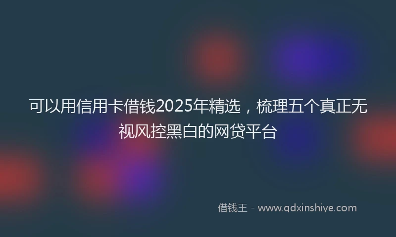 可以用信用卡借钱2025年精选，梳理五个真正无视风控黑白的网贷平台
