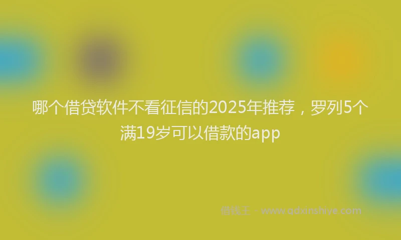 哪个借贷软件不看征信的2025年推荐，罗列5个满19岁可以借款的app