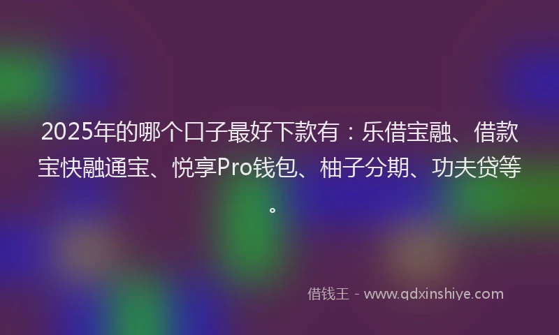 2025年的哪个口子最好下款有：乐借宝融、借款宝快融通宝、悦享Pro钱包、柚子分期、功夫贷等。