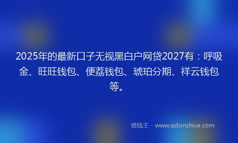 2025年的最新口子无视黑白户网贷2027有：呼吸金、旺旺钱包、便荔钱包、琥珀分期、祥云钱包等。