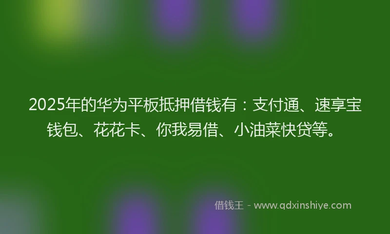 2025年的华为平板抵押借钱有：支付通、速享宝钱包、花花卡、你我易借、小油菜快贷等。