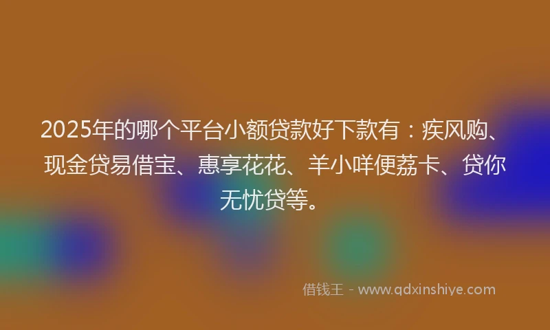 2025年的哪个平台小额贷款好下款有：疾风购、现金贷易借宝、惠享花花、羊小咩便荔卡、贷你无忧贷等。
