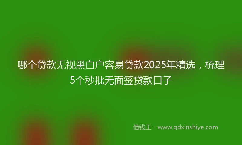 哪个贷款无视黑白户容易贷款2025年精选，梳理5个秒批无面签贷款口子