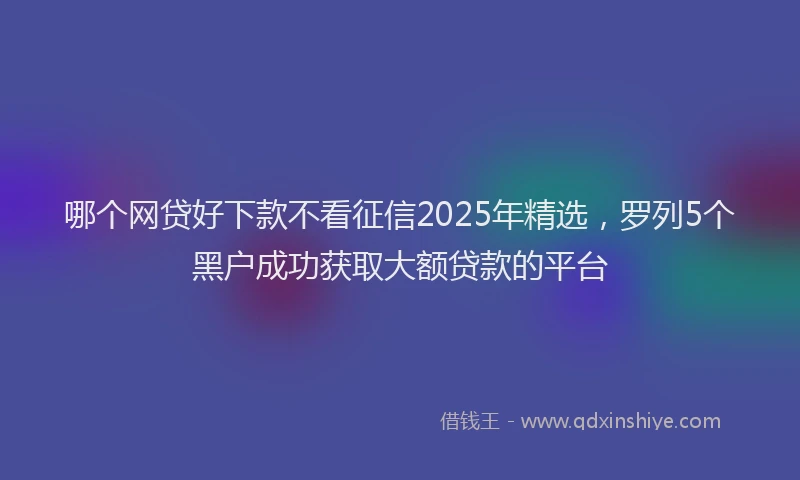 哪个网贷好下款不看征信2025年精选，罗列5个黑户成功获取大额贷款的平台