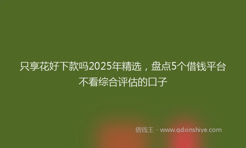 只享花好下款吗2025年精选，盘点5个借钱平台不看综合评估的口子