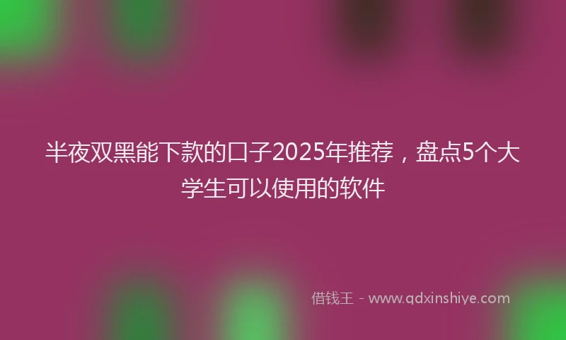半夜双黑能下款的口子2025年推荐，盘点5个大学生可以使用的软件