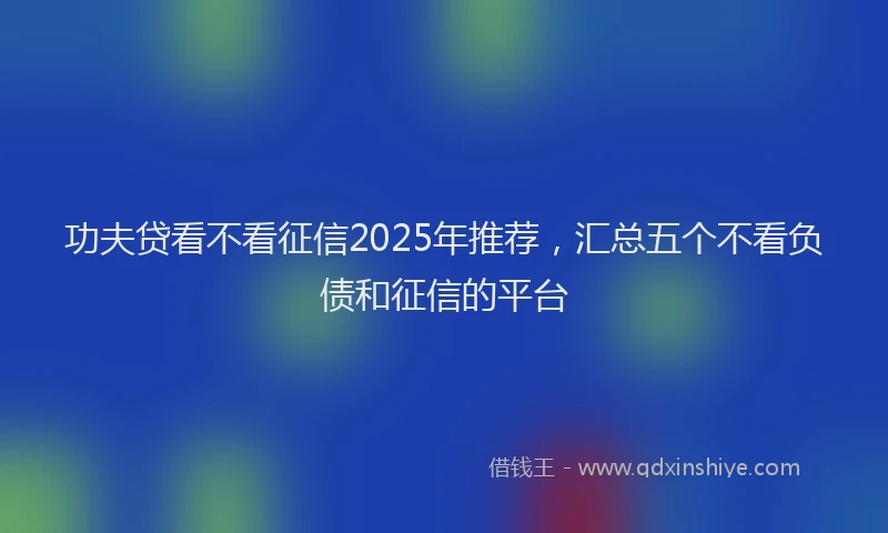 功夫贷看不看征信2025年推荐，汇总五个不看负债和征信的平台