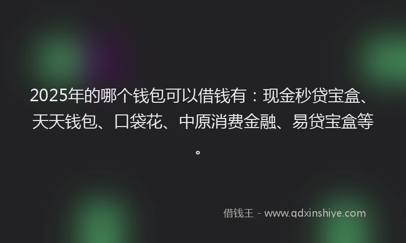 2025年的哪个钱包可以借钱有：现金秒贷宝盒、天天钱包、口袋花、中原消费金融、易贷宝盒等。