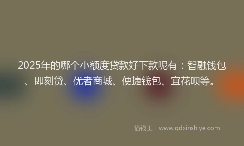 2025年的哪个小额度贷款好下款呢有：智融钱包、即刻贷、优者商城、便捷钱包、宜花呗等。