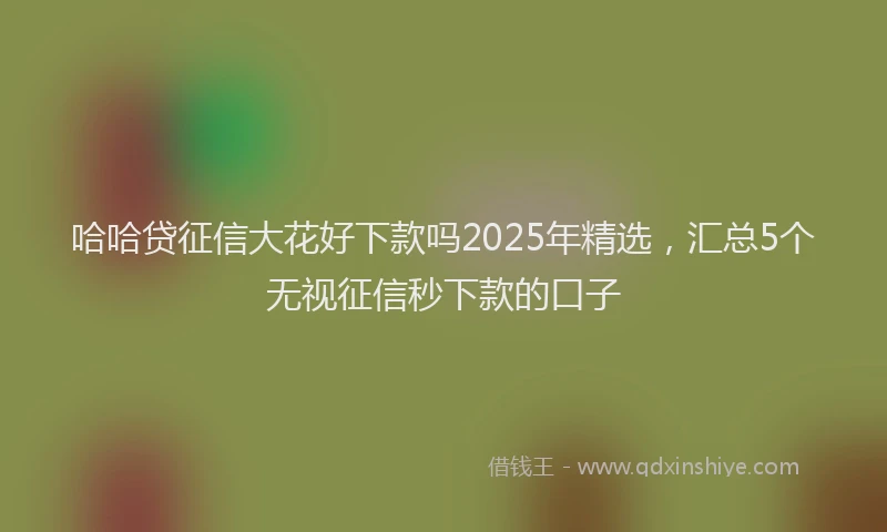 哈哈贷征信大花好下款吗2025年精选，汇总5个无视征信秒下款的口子