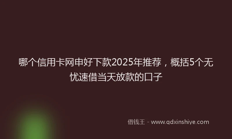 哪个信用卡网申好下款2025年推荐，概括5个无忧速借当天放款的口子