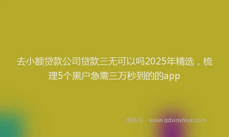 去小额贷款公司贷款三无可以吗2025年精选，梳理5个黑户急需三万秒到的的app
