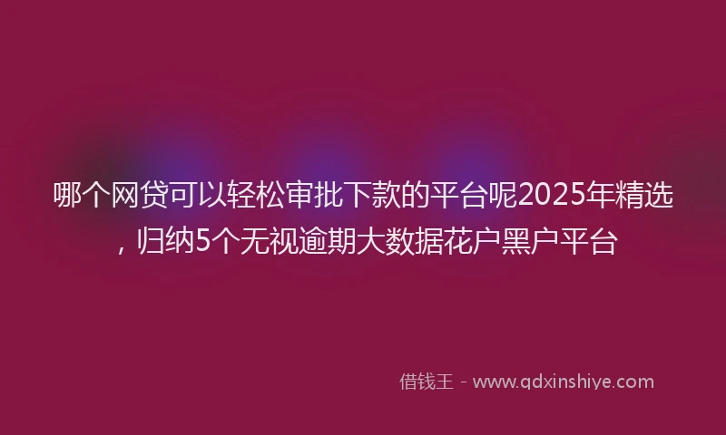 哪个网贷可以轻松审批下款的平台呢2025年精选，归纳5个无视逾期大数据花户黑户平台