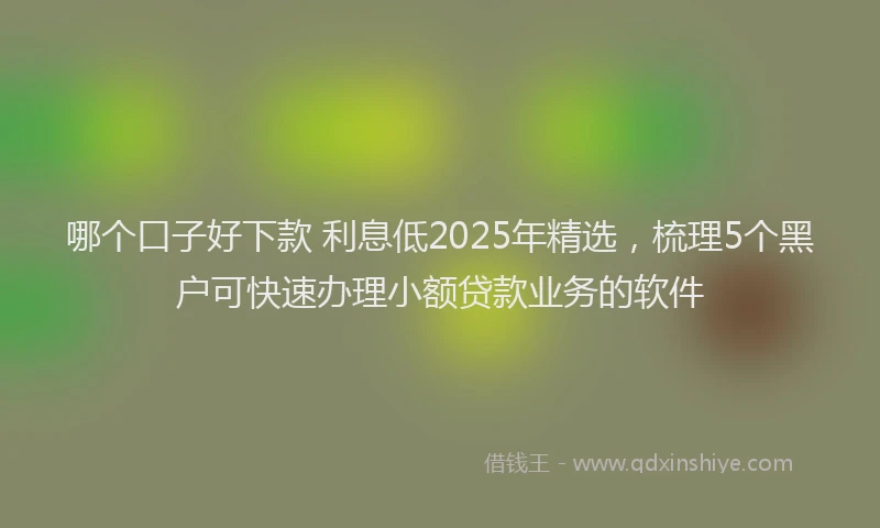 哪个口子好下款 利息低2025年精选，梳理5个黑户可快速办理小额贷款业务的软件
